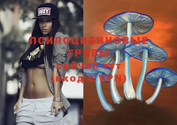 a pvp Володарск