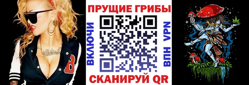 Галлюциногенные грибы Psilocybe  Купить закладки  Кирсанов 